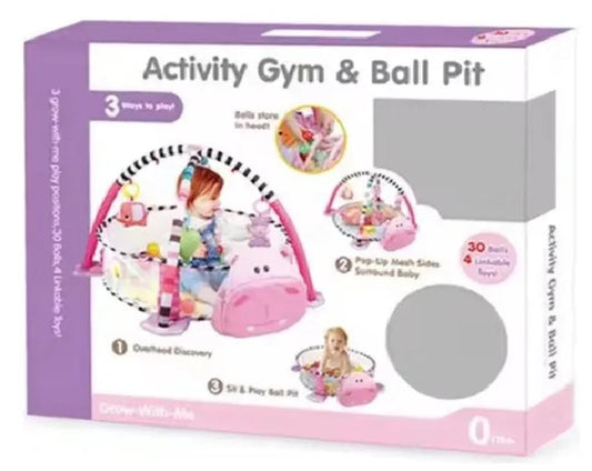 GIMNASIO PELOTAS HIPOPOTAMO