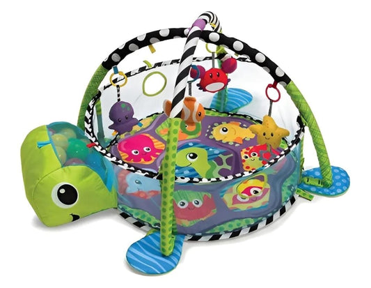 GIMNASIO PELOTAS TORTUGA
