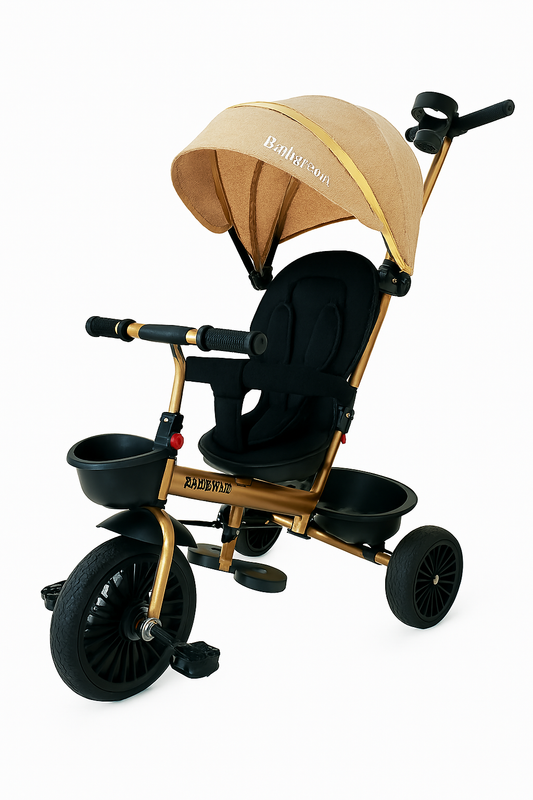 TRICICLO PASEADOR KAYS
