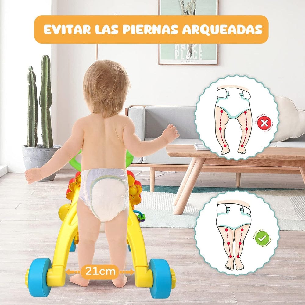 ANDADERA LEON