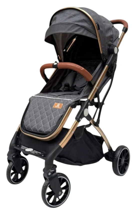 COCHE MALETA ZOOM