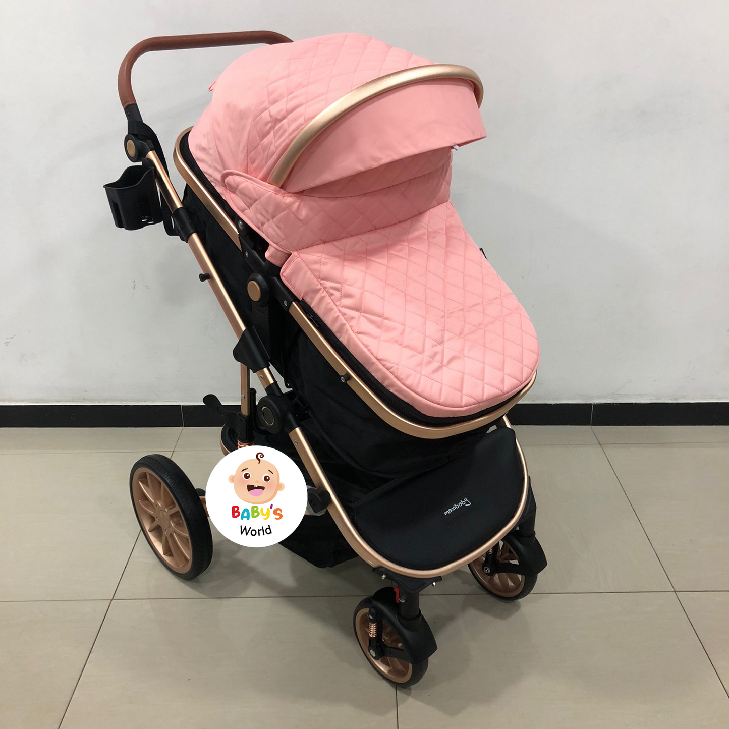 COCHE MOISES BRITO