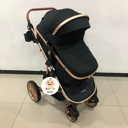 COCHE MOISES BRITO