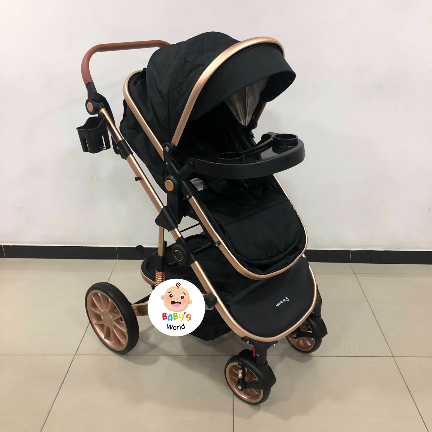 COCHE MOISES BRITO