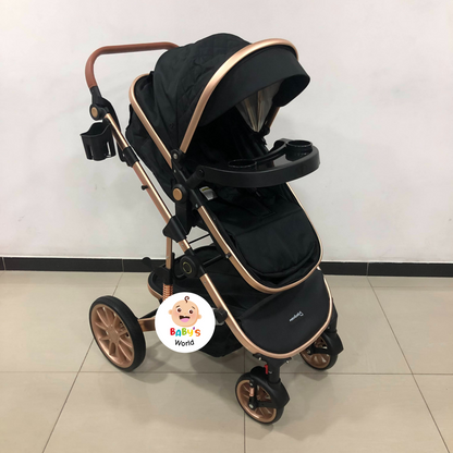 COCHE MOISES BRITO