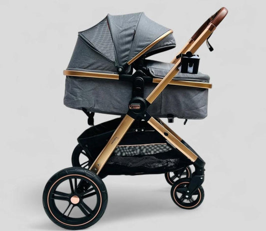 COCHE MOISES MILANO