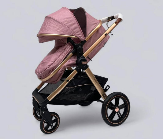 COCHE MOISES MILANO