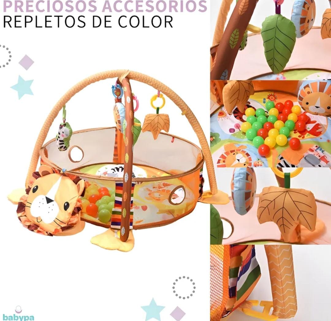 GIMNASIO PELOTAS LEON