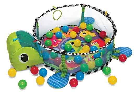 GIMNASIO PELOTAS TORTUGA