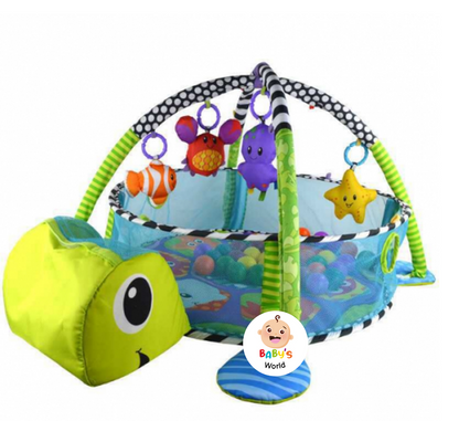 GIMNASIO PELOTAS TORTUGA