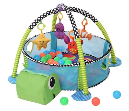GIMNASIO PELOTAS TORTUGA