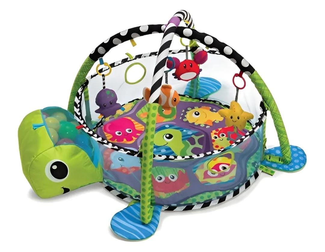 GIMNASIO PELOTAS TORTUGA