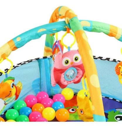 GIMNASIO PELOTAS TORTUGA