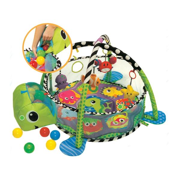 GIMNASIO PELOTAS TORTUGA