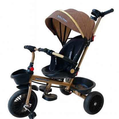 TRICICLO PASEADOR KAYS