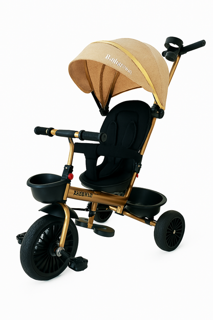 TRICICLO PASEADOR KAYS
