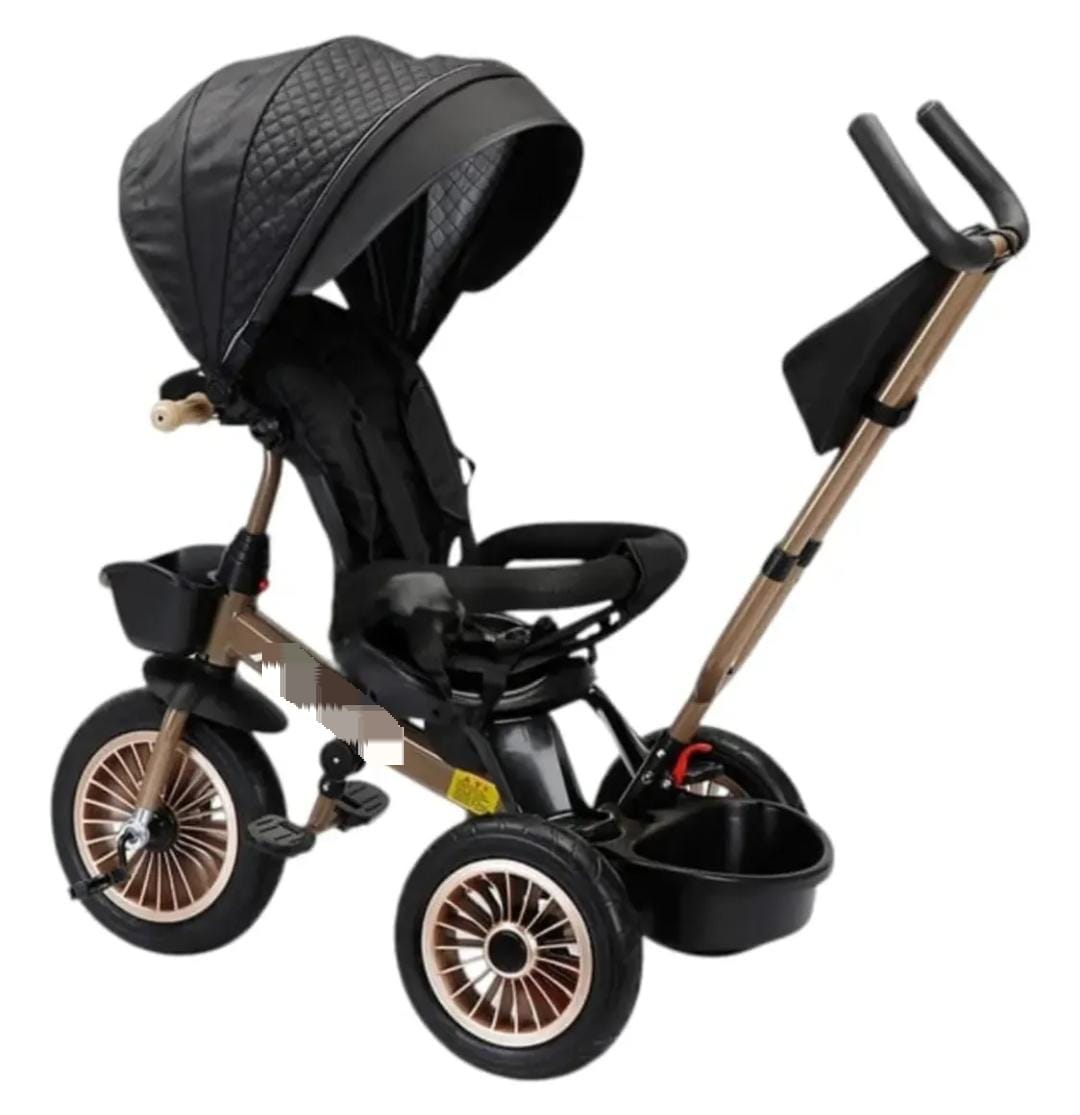 TRICICLO PASEADOR MAXY