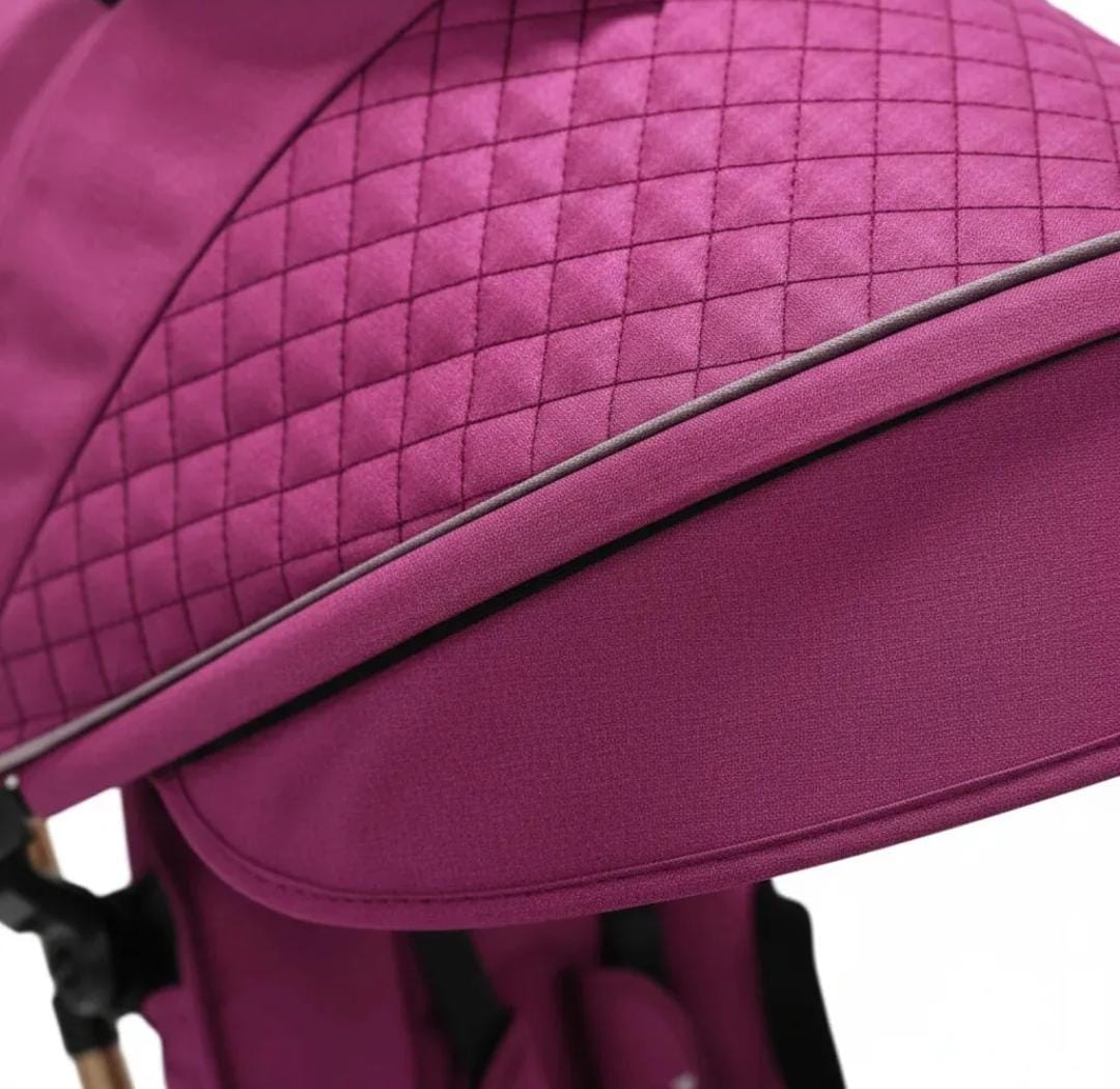 TRICICLO PASEADOR MAXY
