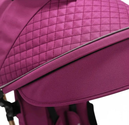 TRICICLO PASEADOR MAXY