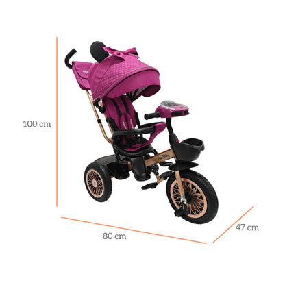 TRICICLO PASEADOR MAXY
