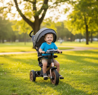 TRICICLO PASEADOR MAXY