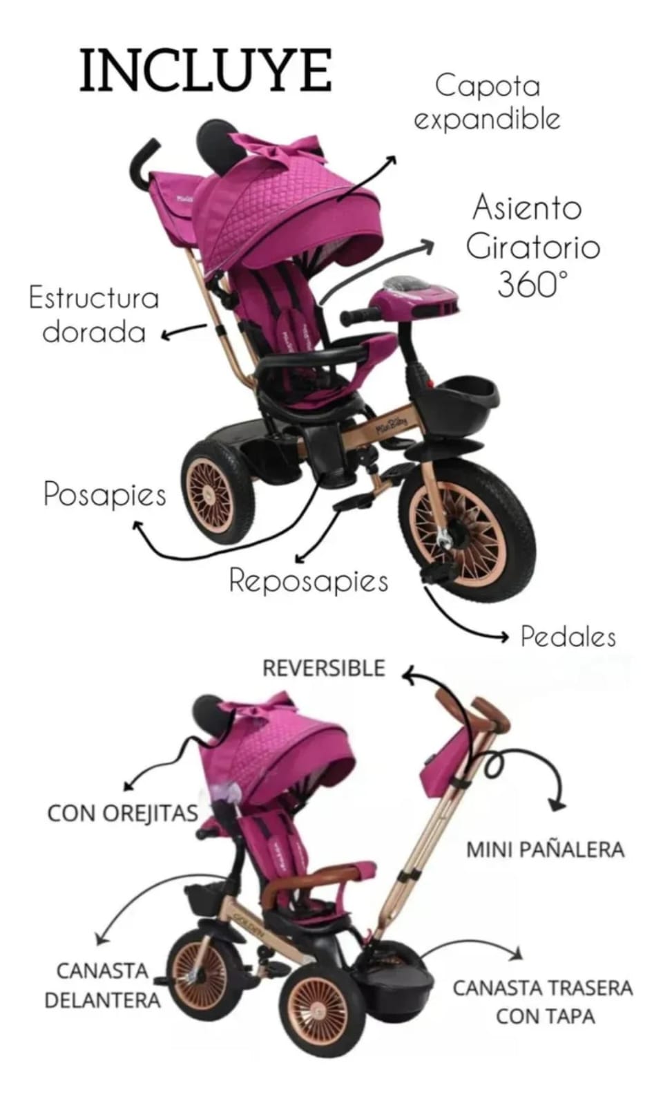 TRICICLO PASEADOR MAXY